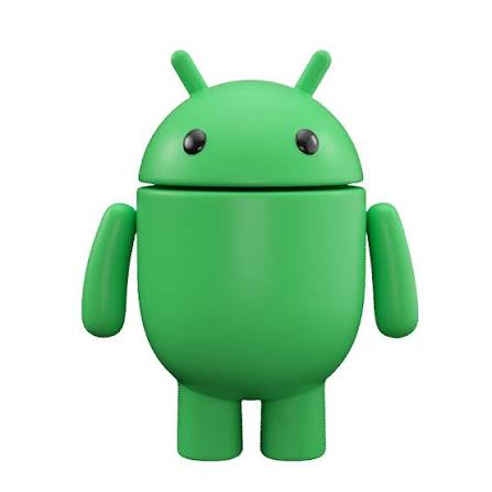 Google Android Developer